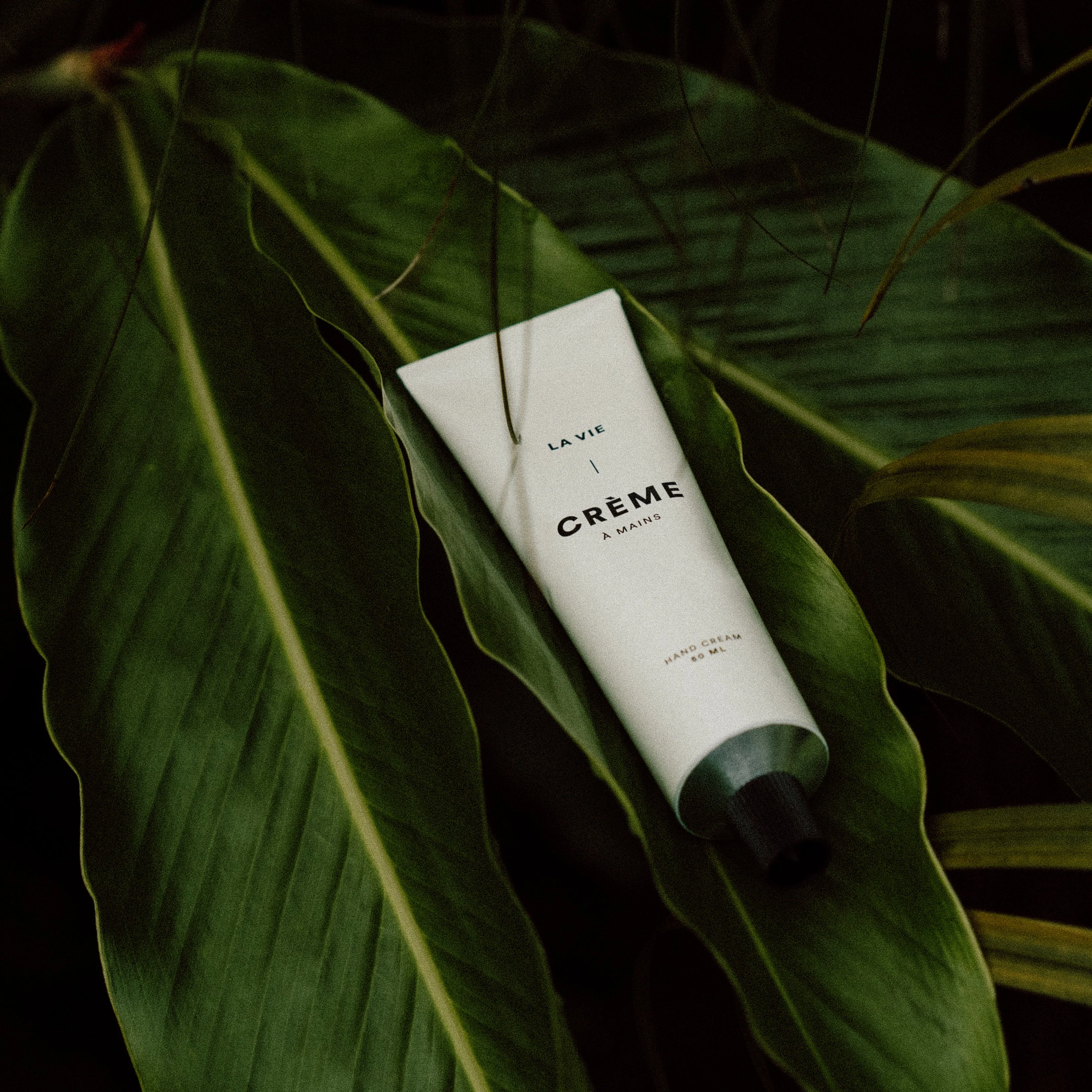 Hand Cream – Bergamot Clementine - Image 2